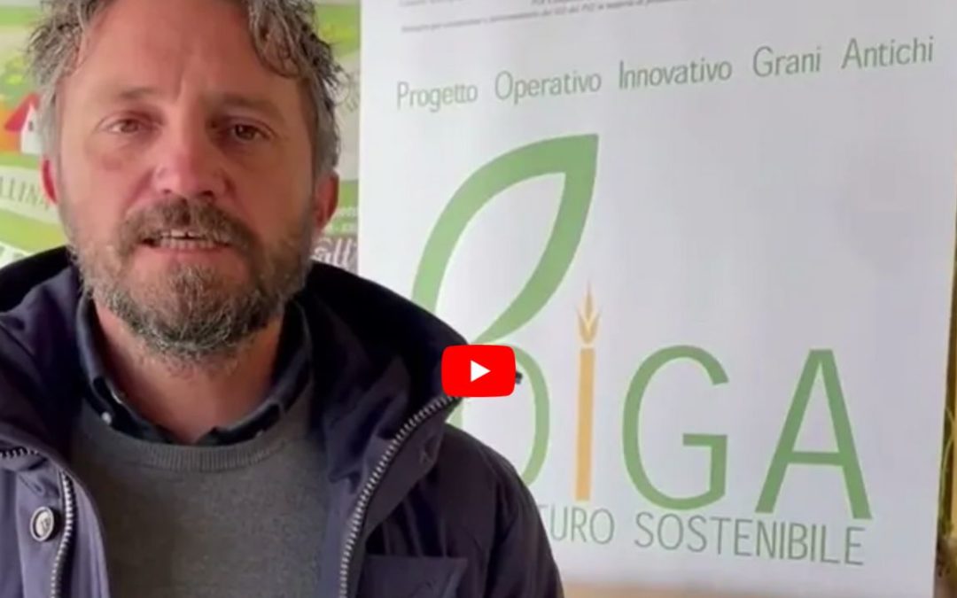 Intervista a Antonio Pellegrino Azienda agricola ” Terra di Resilienza”